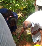 World Environment Day Celebrations at Vridhasadanam Kochi 