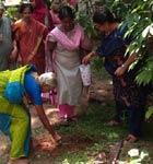 World Environment Day Celebrations at Vridhasadanam Kochi 