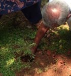 World Environment Day Celebrations at Vridhasadanam Kochi 