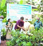 Sree Poornathrayeesa Green Care