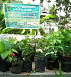 Sree Poornathrayeesa Green Care