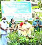Sree Poornathrayeesa Green Care